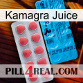 Kamagra Juice new14